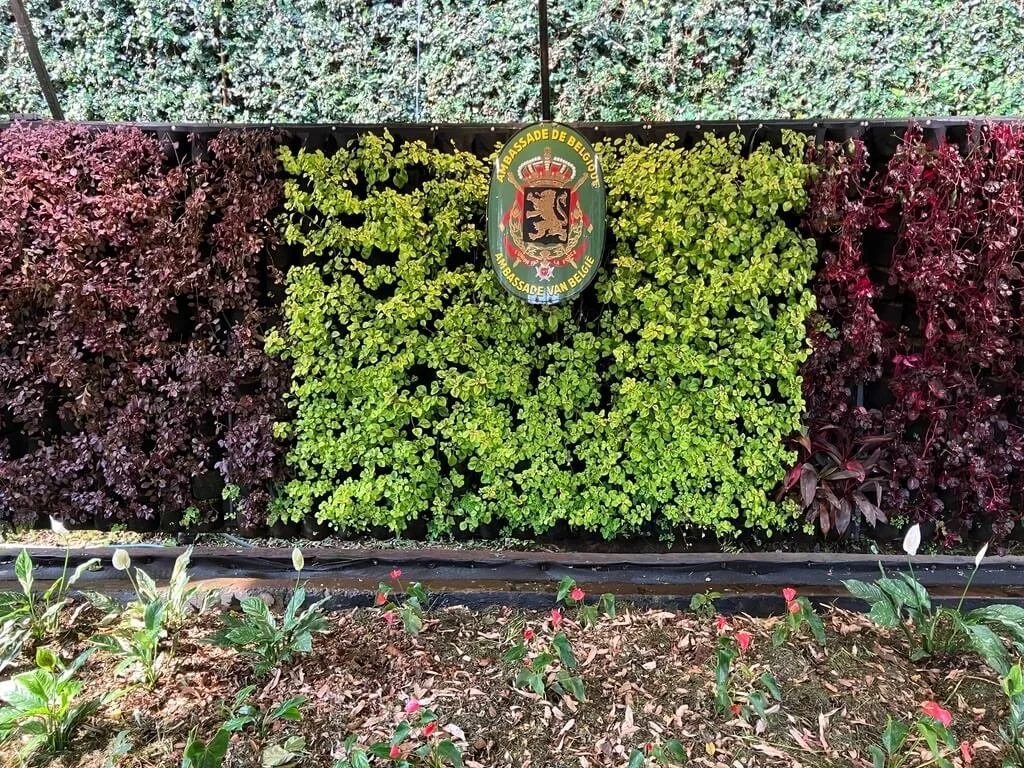  A living wall greets visitors to the embassy. Photo by Diplomatica Global Media.   