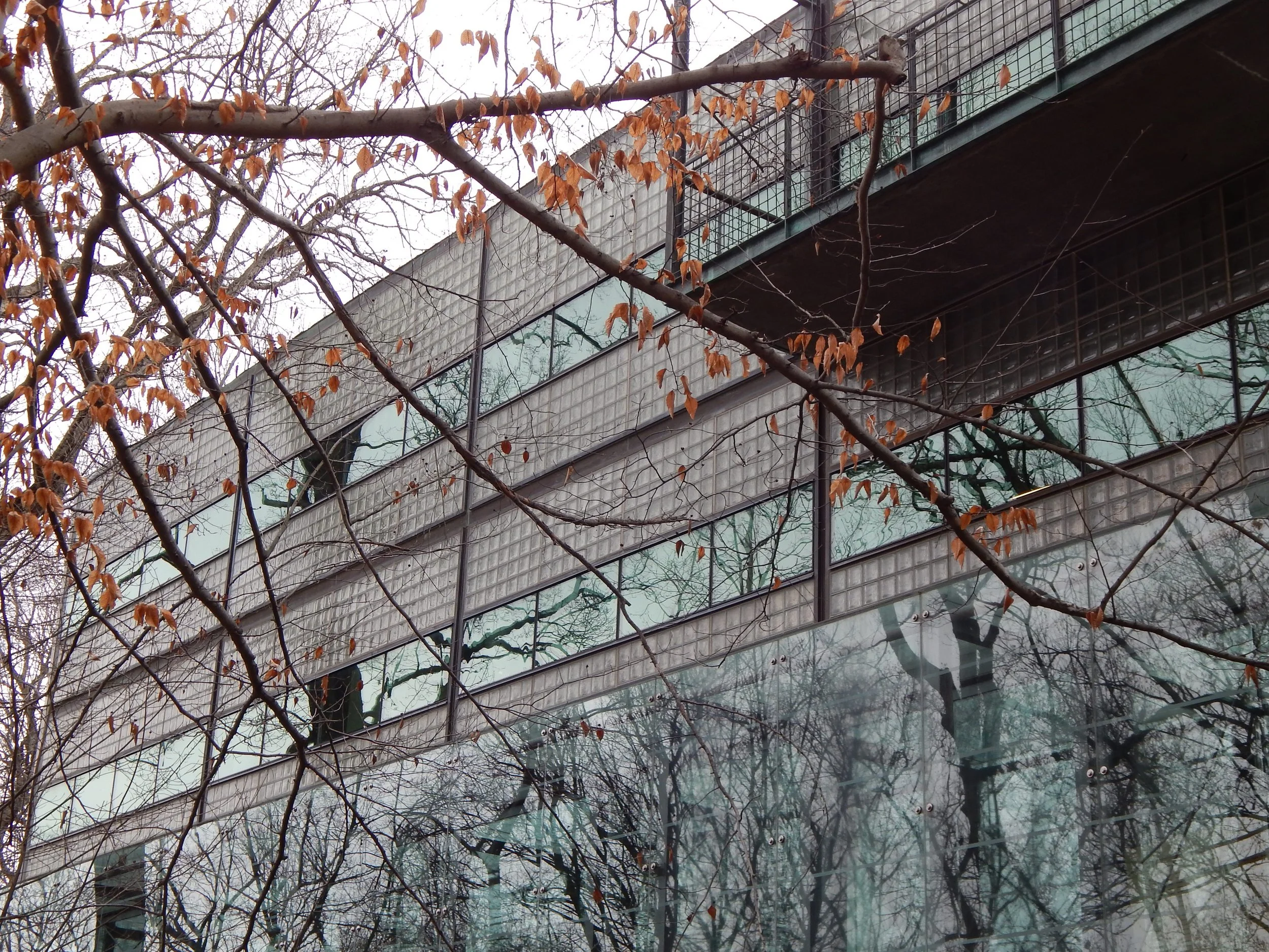 The rear exterior of the Embassy of Finland. Photo by Diplomatica Global Media.