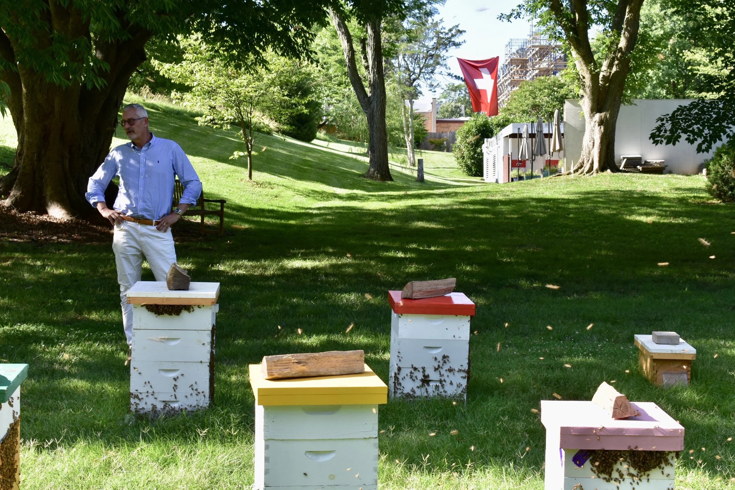 Swiss Ambassador Jacques Pitteloud allows local beekeepers to keep hives on the embassy grounds as part of a broader rewilding initiative. Photo by Molly McCluskey.