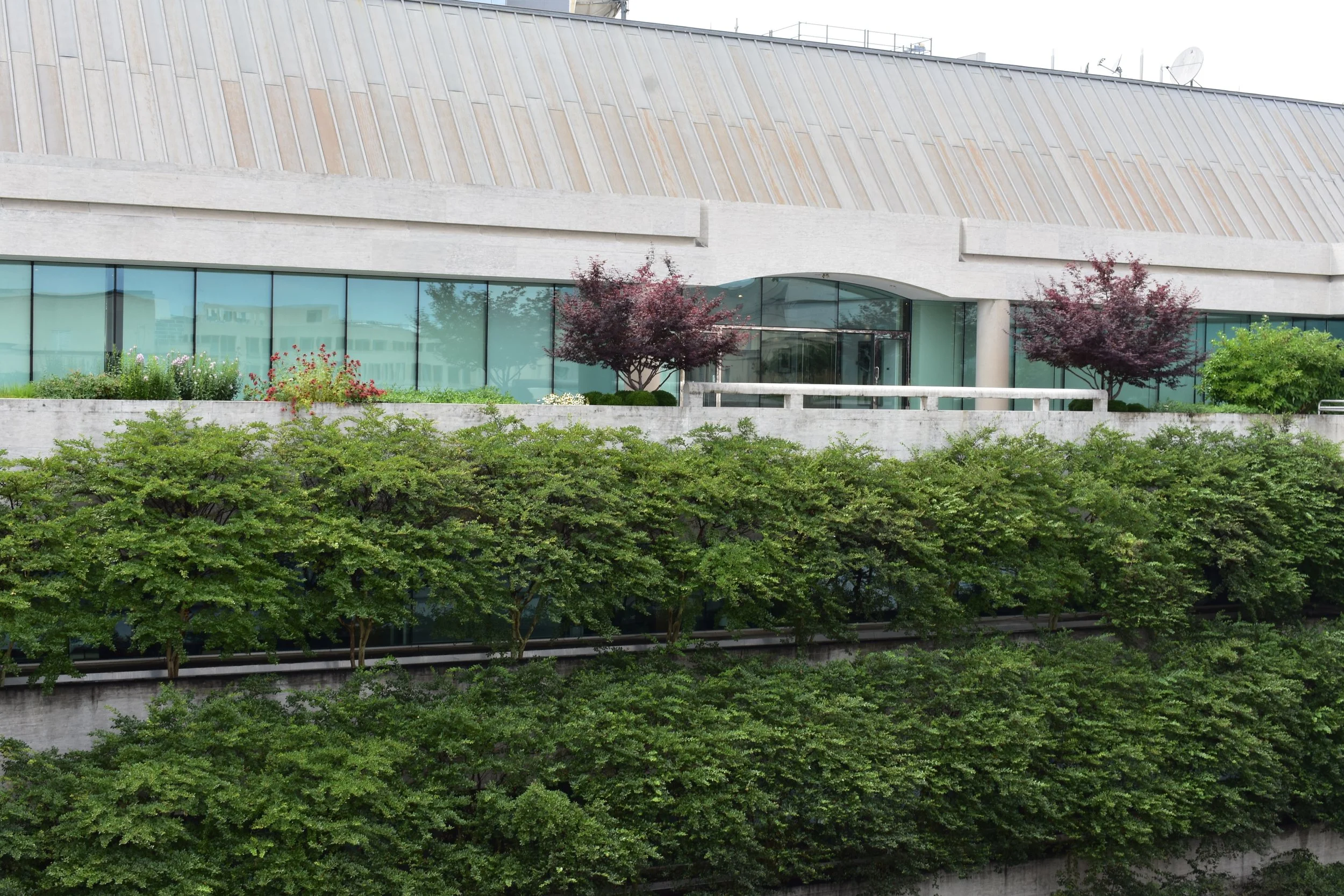 The Embassy of Canada features living walls. Photo by Diplomatica Global Media.